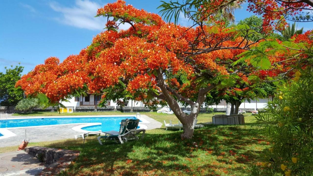 Apartament Apartamento Cerca De La Playa Acantilado de los Gigantes Zewnętrze zdjęcie